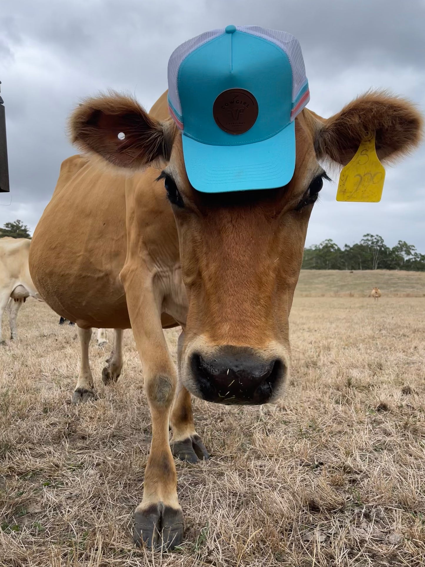 Mag’s 1/4 zip jumper